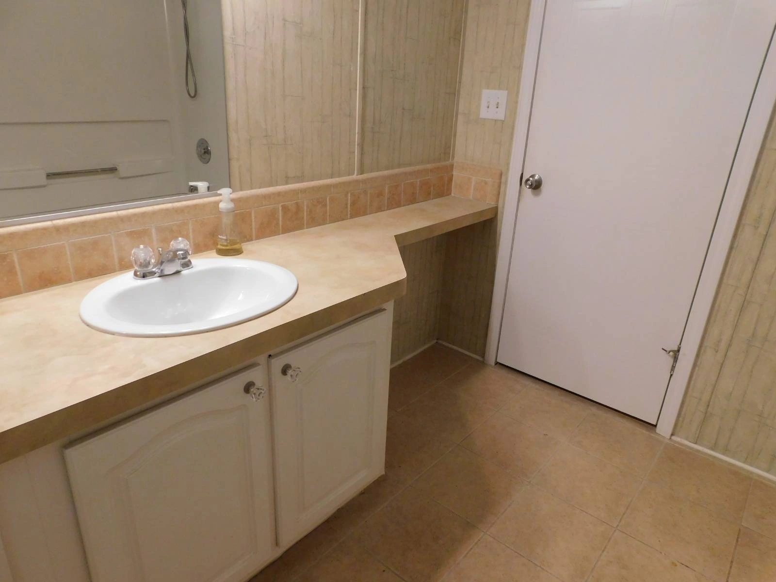 2&2 Palm Harbor Manufactured Home, 11146 Mustang Drive(3)