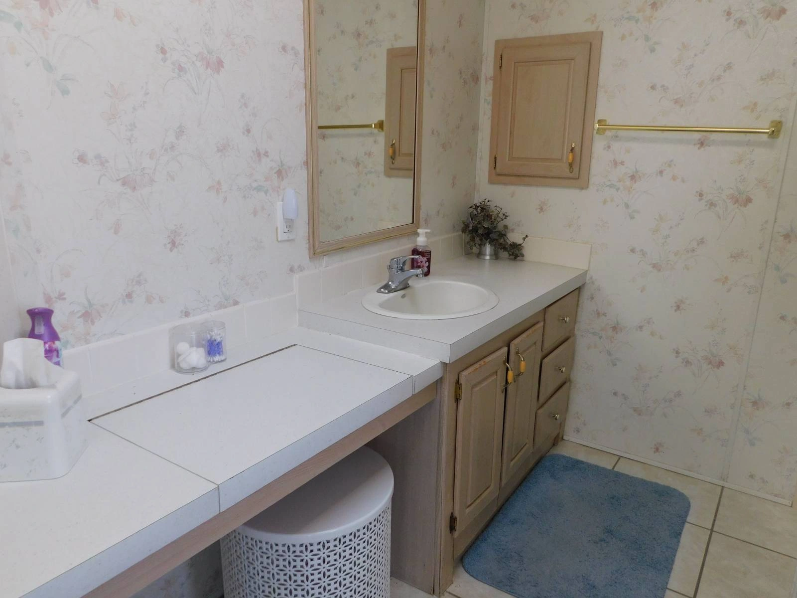 2&2 Redman Manufactured Home 11054 Mustang Drive(10)