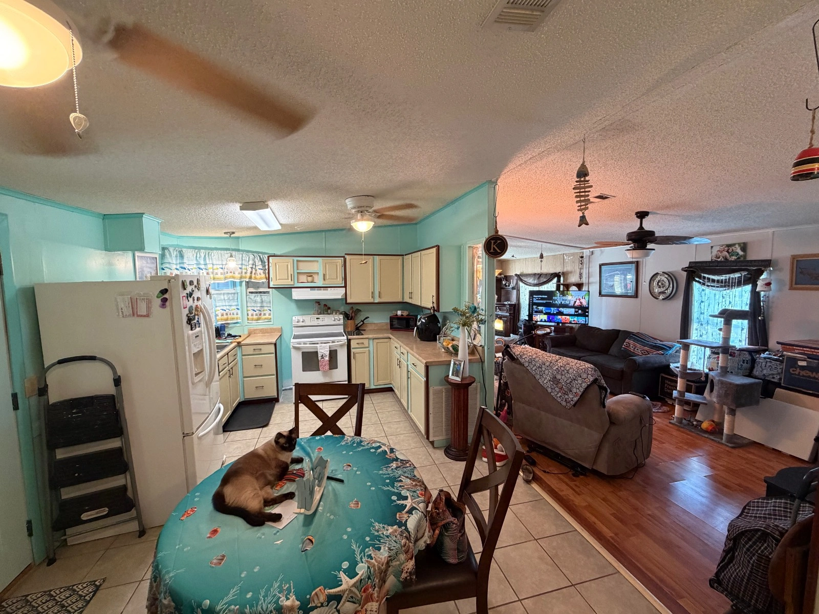 3&2 10916 Homes of Merit Manufactured Home (8) 55+ mobile home communities, gated 55+ community zephyrhills, redman manufactured homes dade city, pet friendly 55+ community