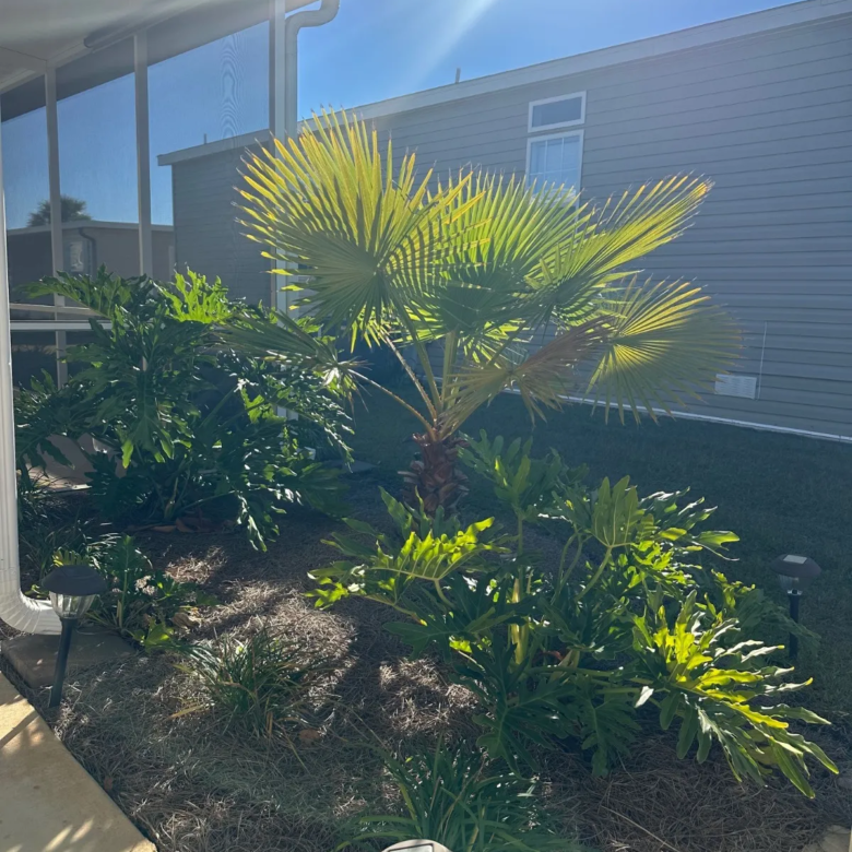 55+ communities haines city fl, ramblewood village homes for sale, Jacobsen Manufactured Home, model homes, single wide homes