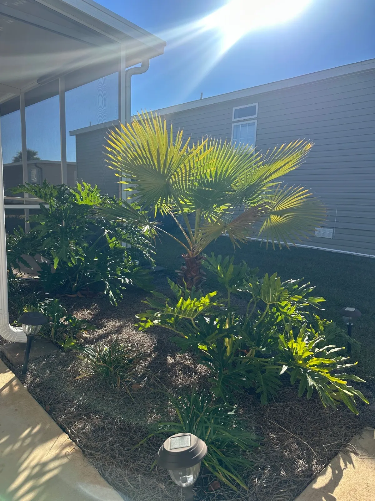 32 Jacobsen Manufactured Home (18) 55+ communities haines city fl, ramblewood village homes for sale, Jacobsen Manufactured Home, model homes, single wide homes