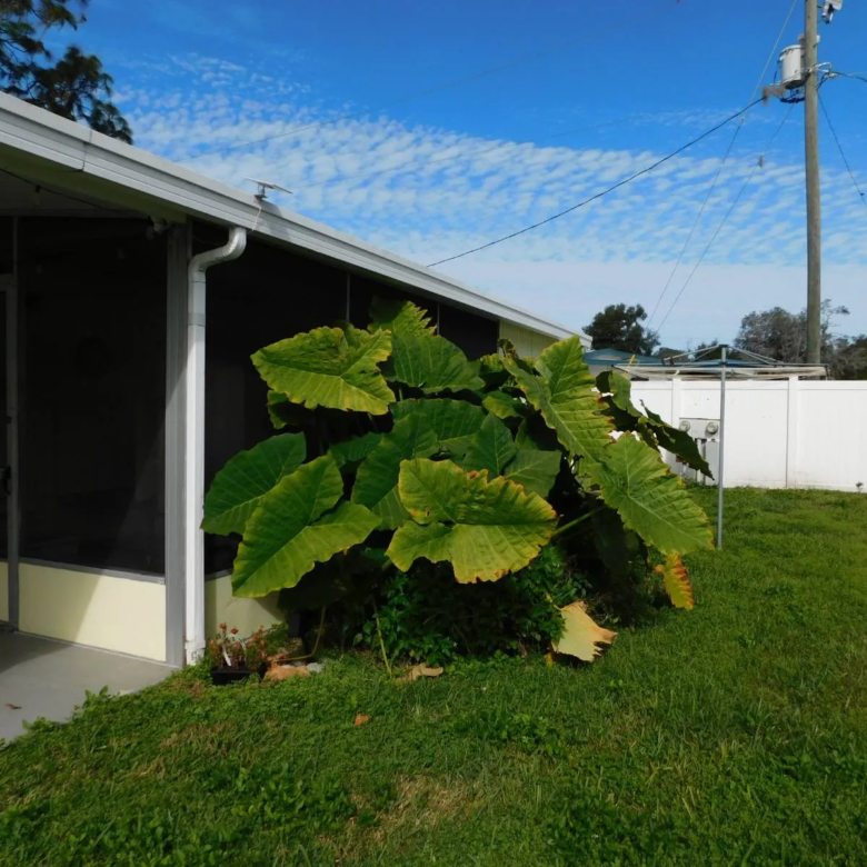 Commodore Manufactured Home, lawn maintenance included, 55+ communities foley al, orangewood lakes new port richey homes for 
