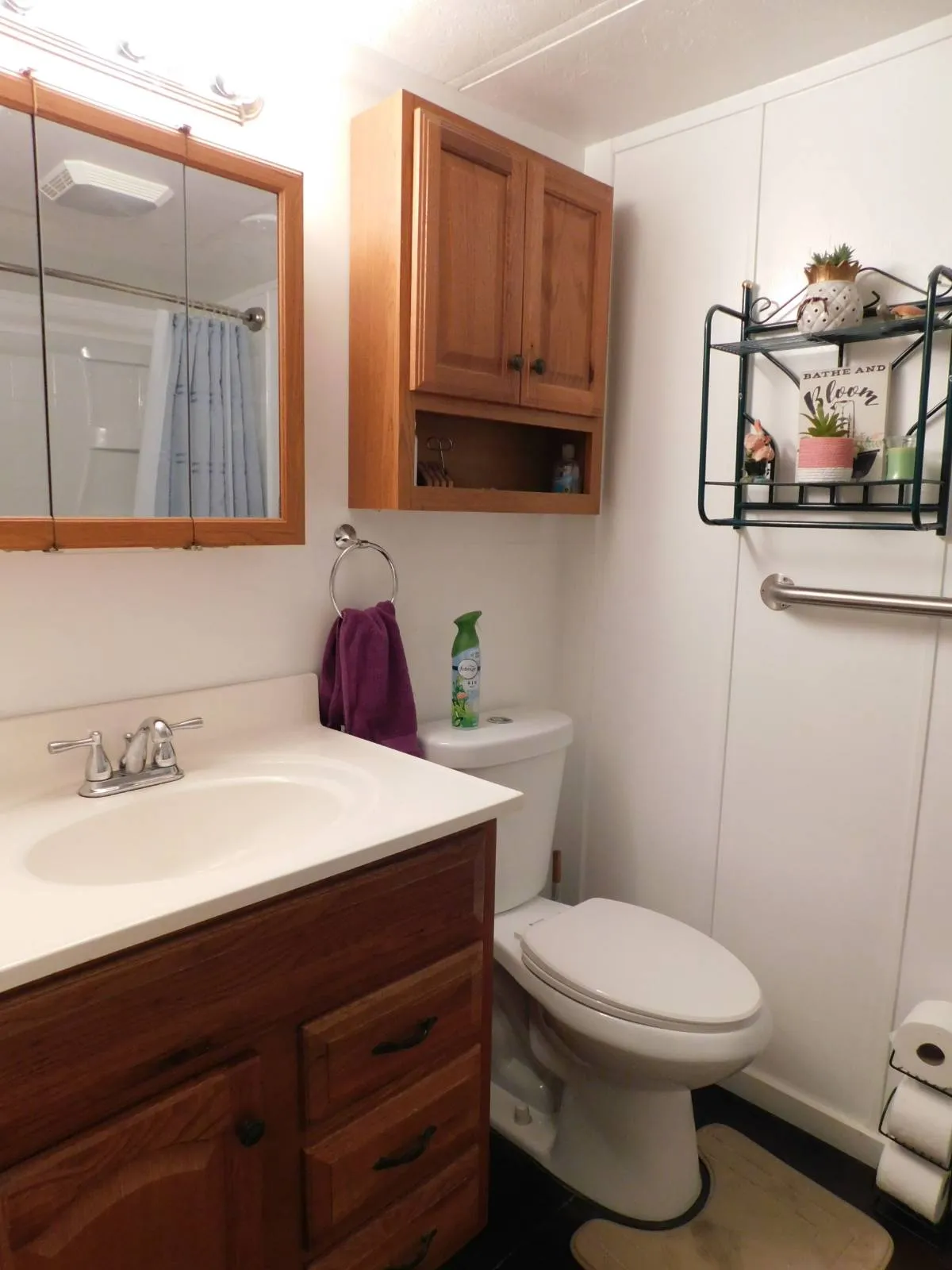 22 Fleetwood Manufactured Home (12) Fleetwood Manufactured Home, fleetwood mobile homes zephyrhills, Grand Valley, library, picnic pavilion, grand valley new por