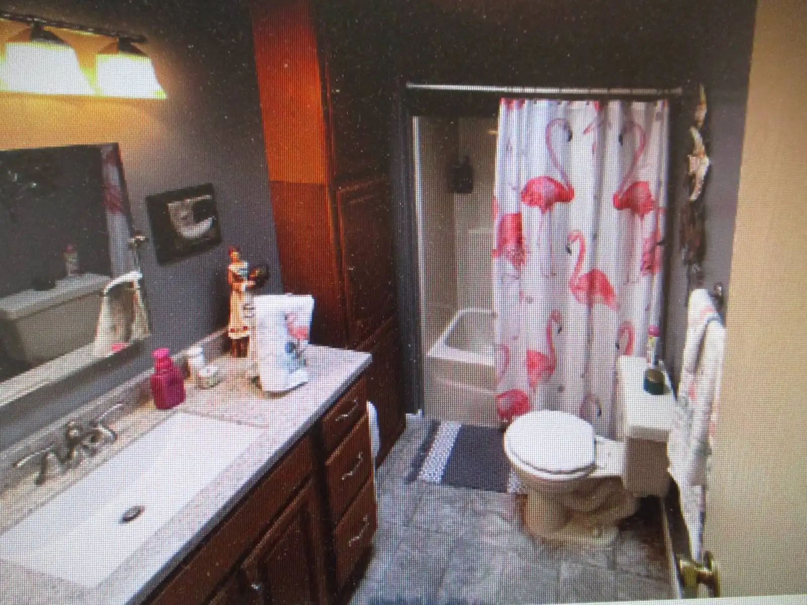 22 Jacobsen Manufactured Home (8) manufactured homes for sale zephyrhills 55+, Champion Homes, Jacobsen Manufactured Home, the reserve at grand valley homesite